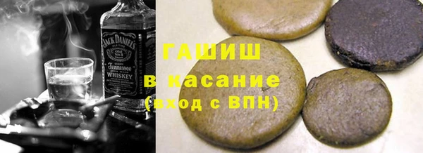 сатива Беломорск