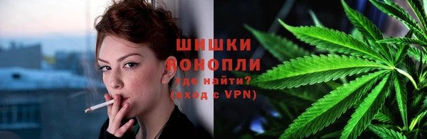 сатива Беломорск