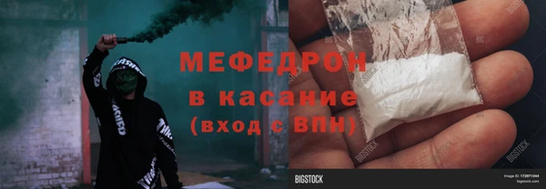 сатива Беломорск