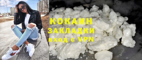 МДПВ Пересвет