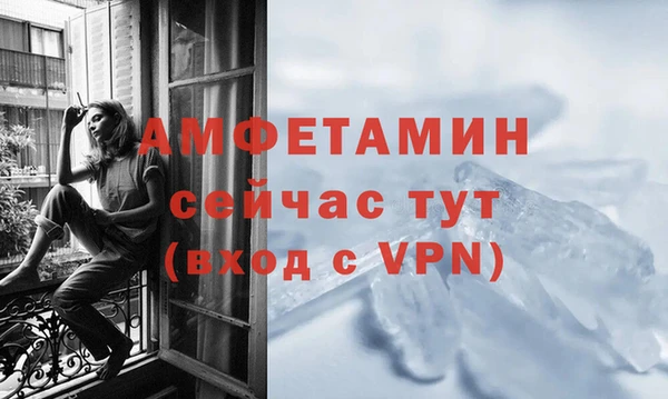 сатива Беломорск