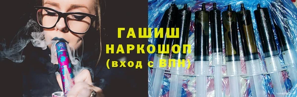 сатива Беломорск